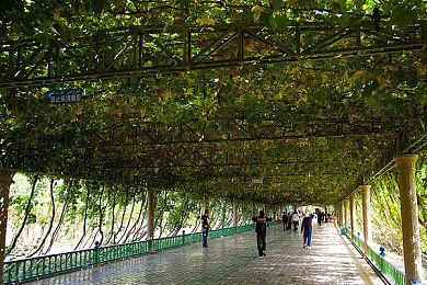 《真女神转生5》恶魔介绍：影之国女王丝卡蒂